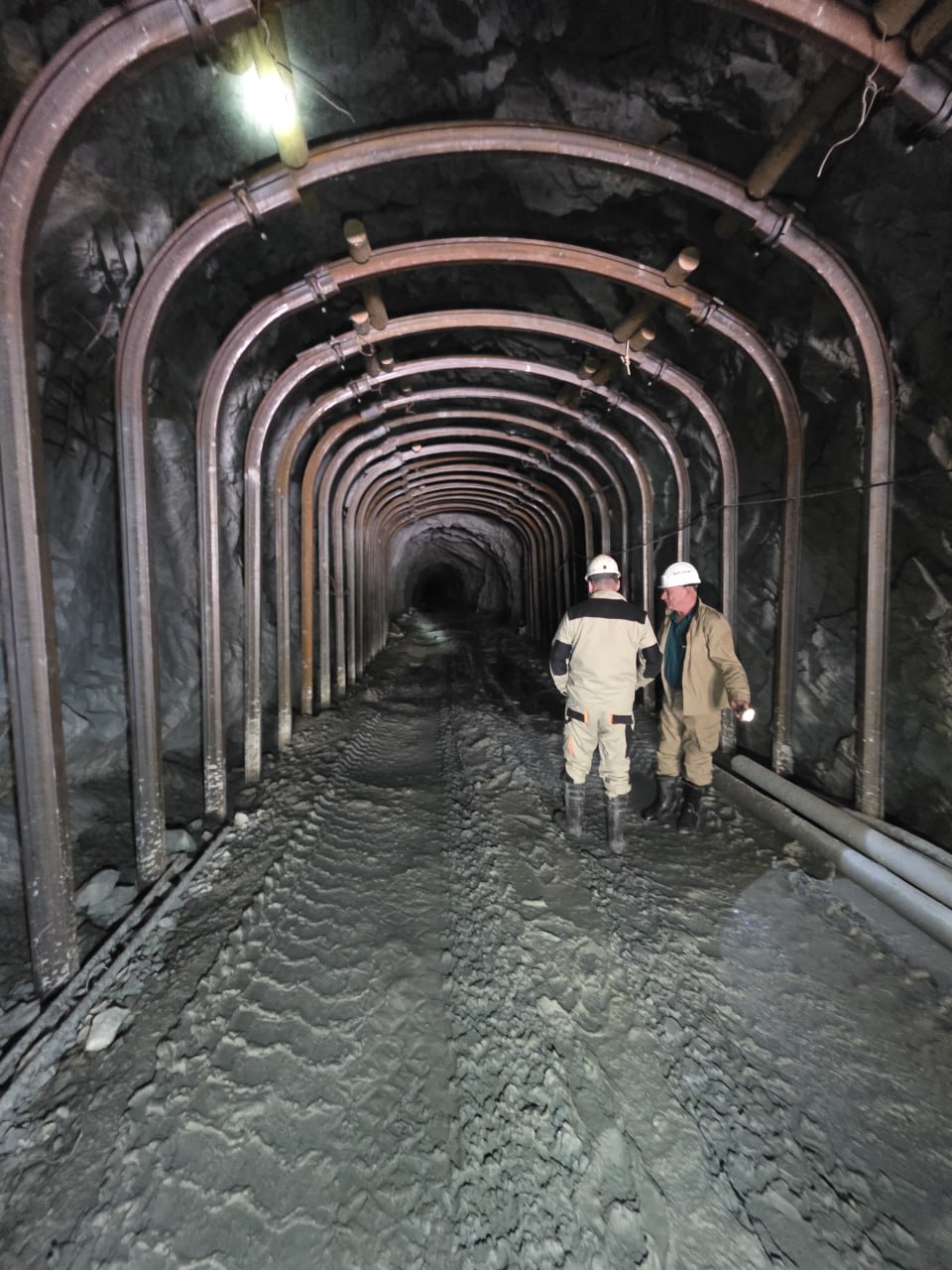 photo_2025-05-29_07-35-16